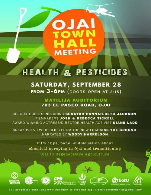 Townhall 8.5x11 for print(1)